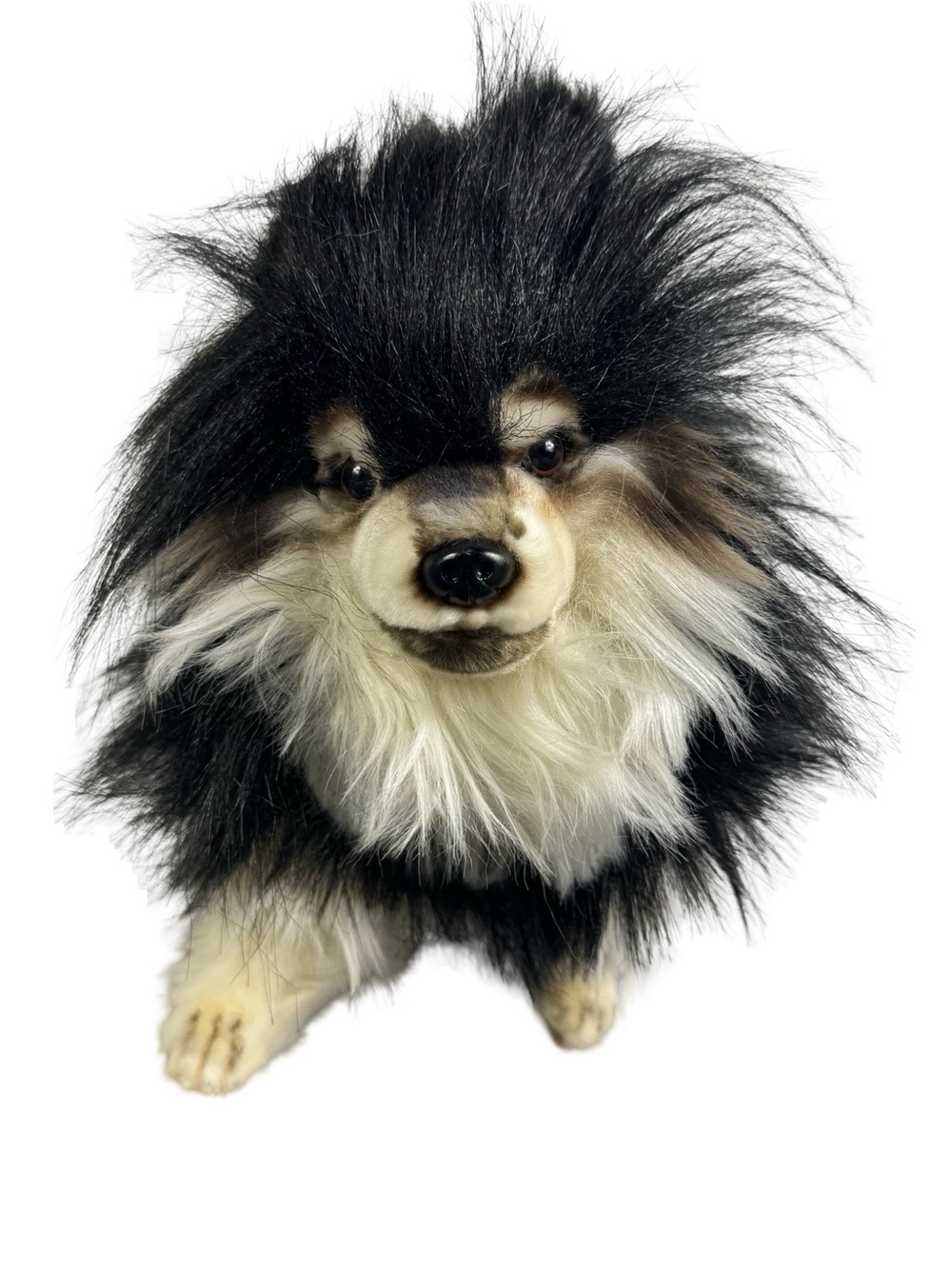 NWT Pomeranian Dog Hansa Realistic Stuffed Animal Plush Soft Toy 14" Posable